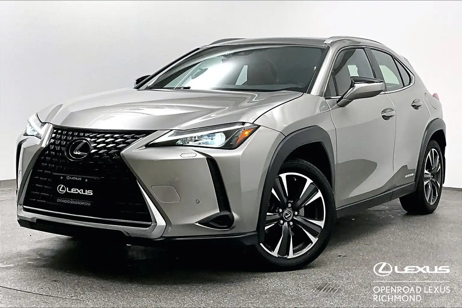 2021 Lexus UX 250h Premium Package's photo