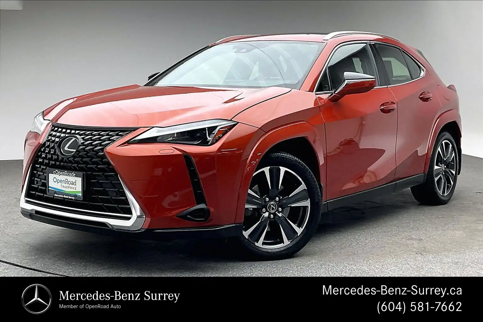 2024 Lexus UX 250h Premium's photo