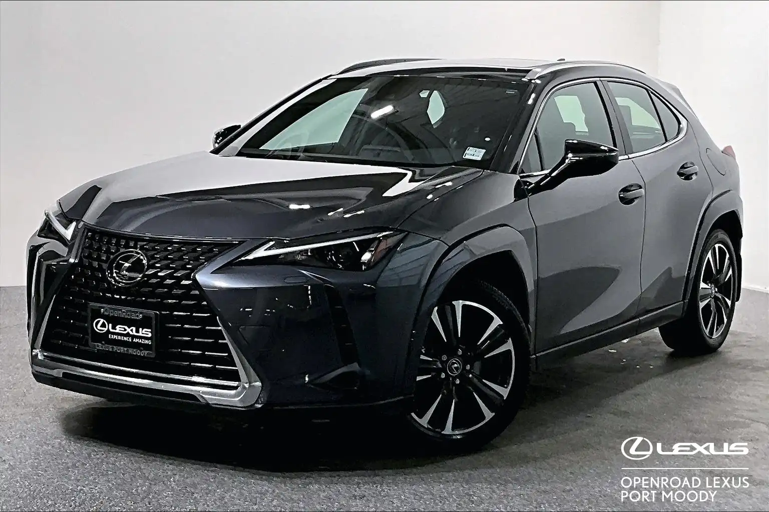 2024 Lexus UX 250h Premium's photo