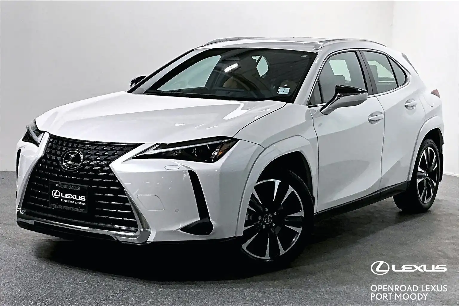 2025 Lexus UX 300h Premium's photo