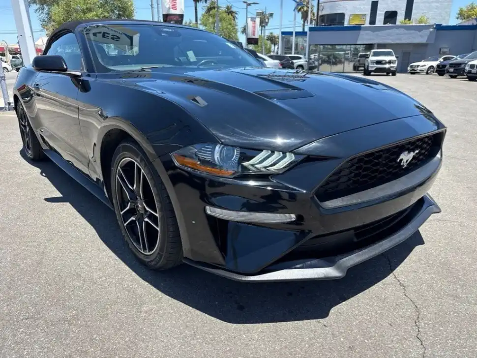 2022 Ford Mustang EcoBoost Premium Convertible's photo