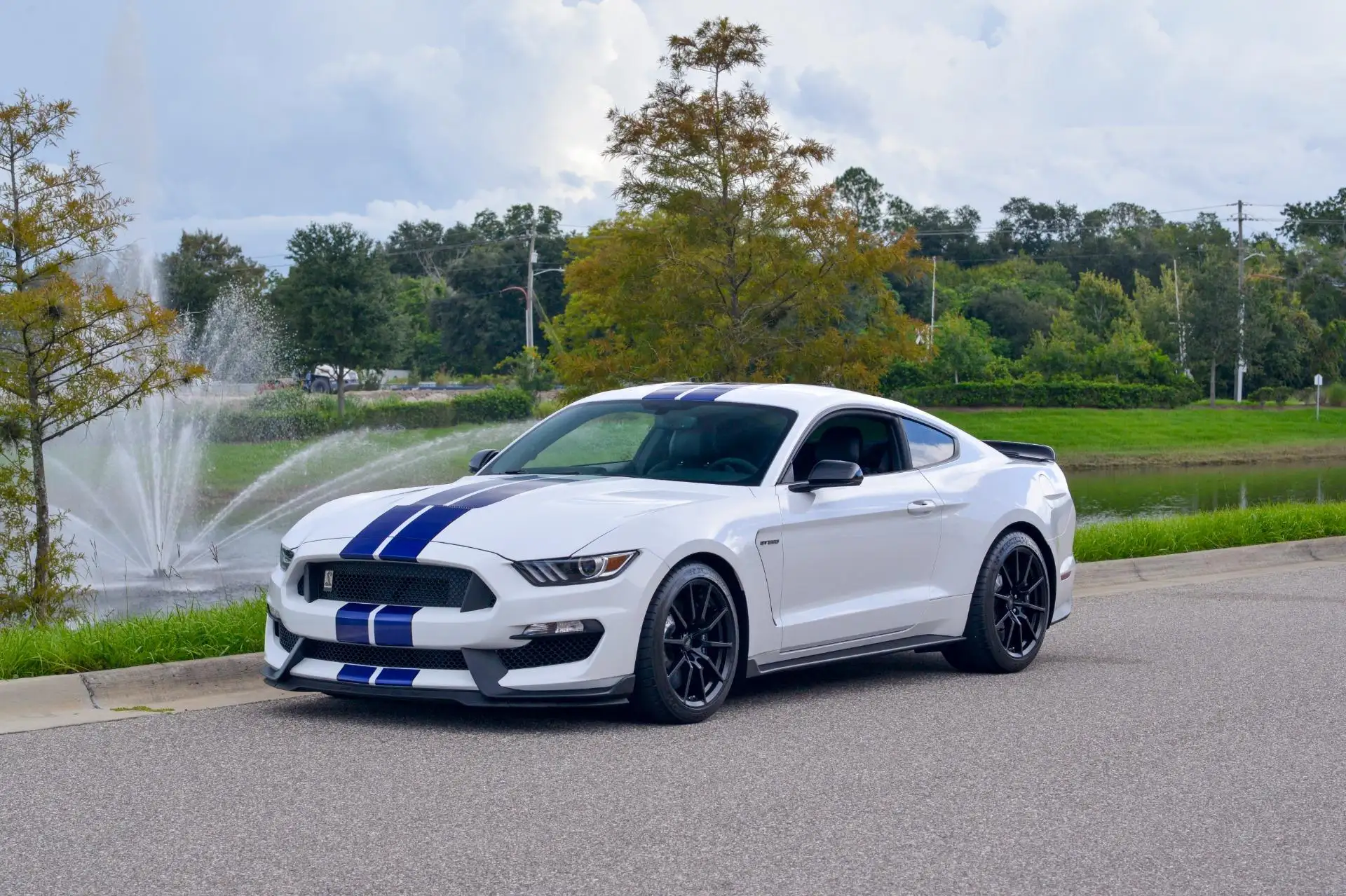 2016 Ford Mustang Shelby GT350's photo