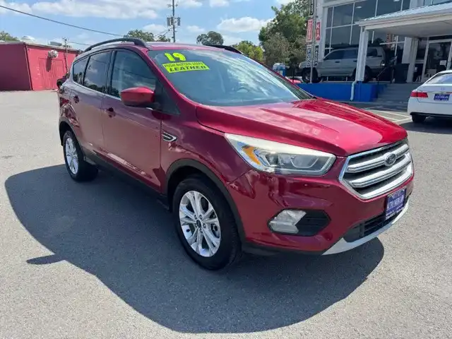 2019 Ford Escape SEL 4WD's photo