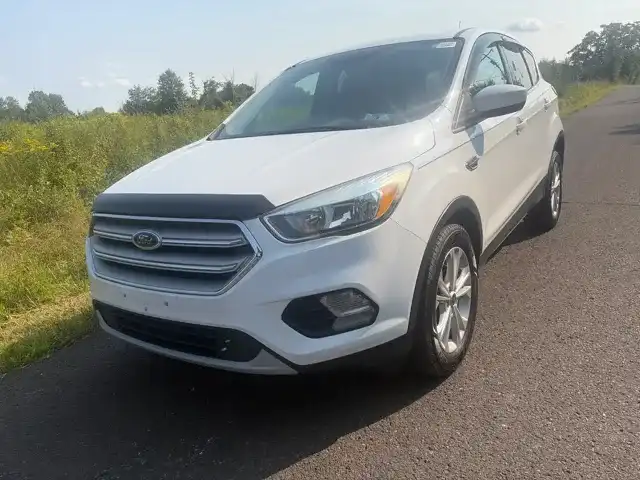 2019 Ford Escape SE's photo