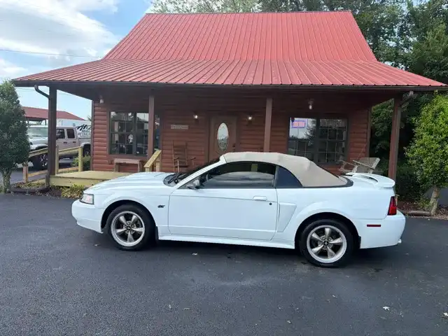 2001 Ford Mustang GT 180A's photo