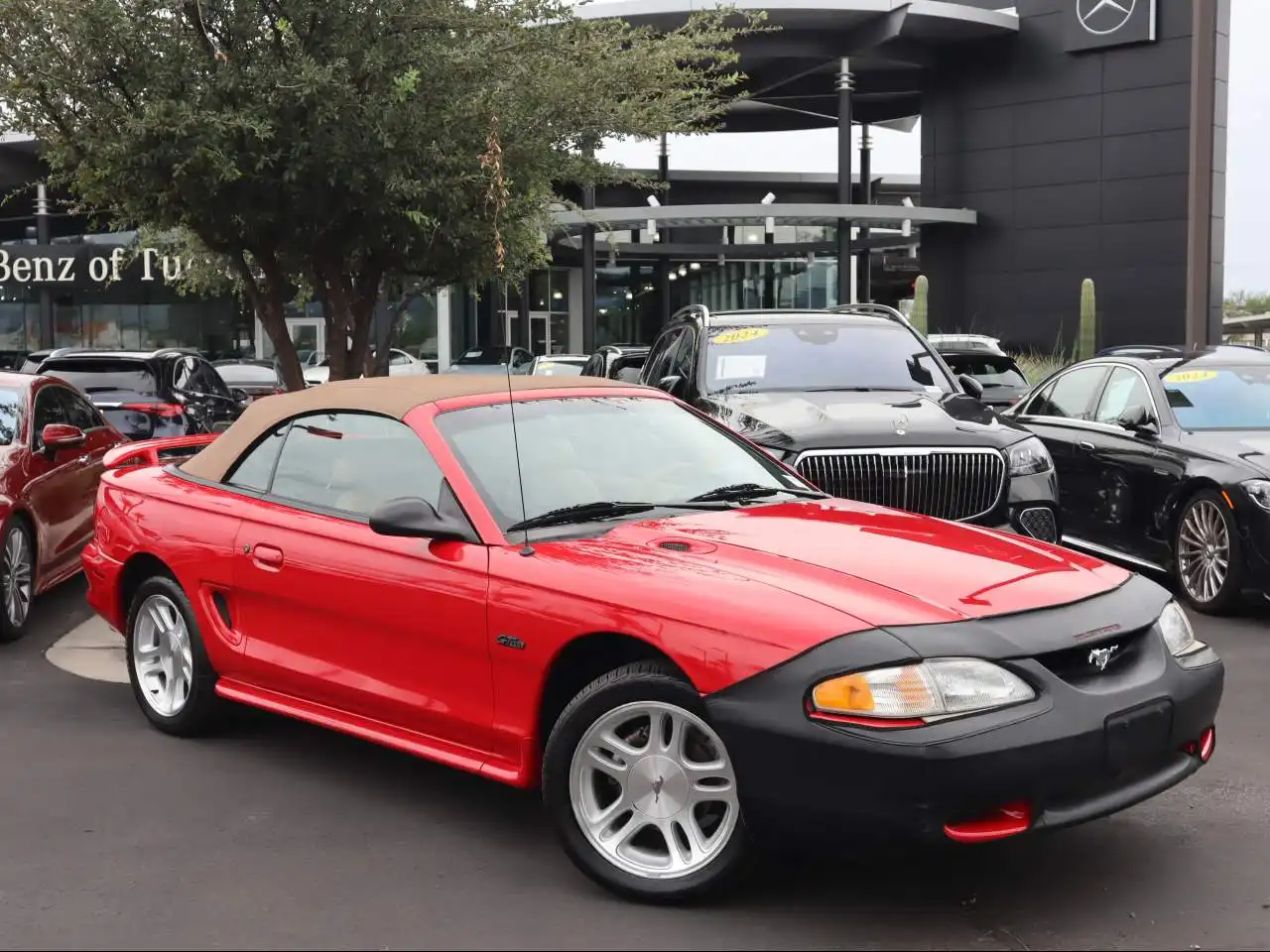 1998 Ford Mustang V8 GT's photo