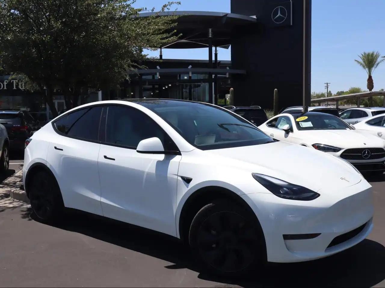 2024 Tesla Model Y Long Range Rear Wheel Drive's photo