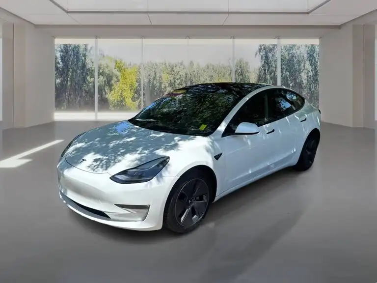 2023 Tesla Model 3 Base's photo