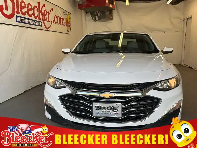 2024 Chevrolet Malibu 1LT's photo