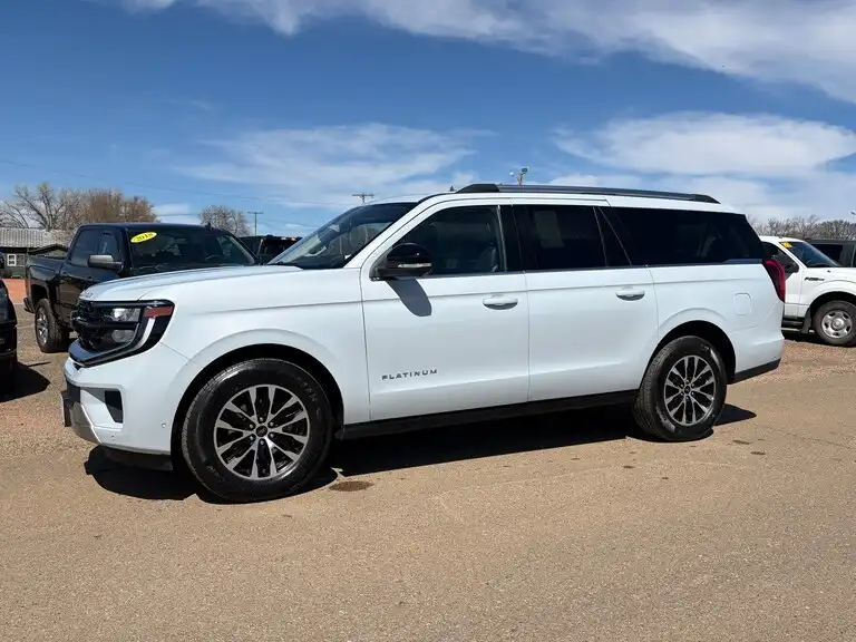 2025 Ford Expedition Platinum MAX 4x4's photo