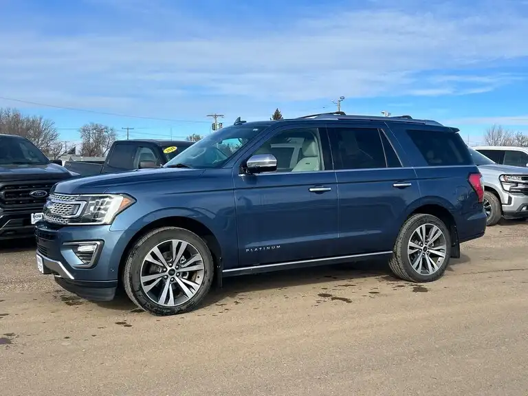2020 Ford Expedition Platinum 4x4's photo