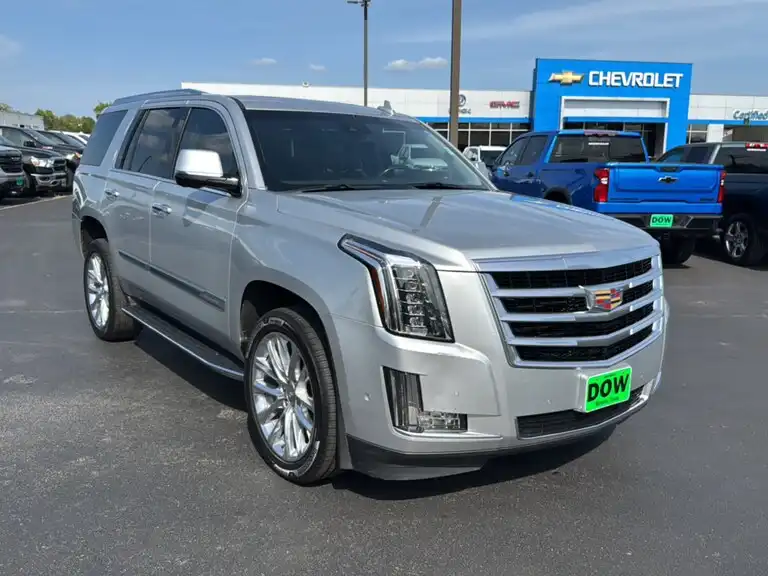 2019 Cadillac Escalade 2WD Luxury's photo