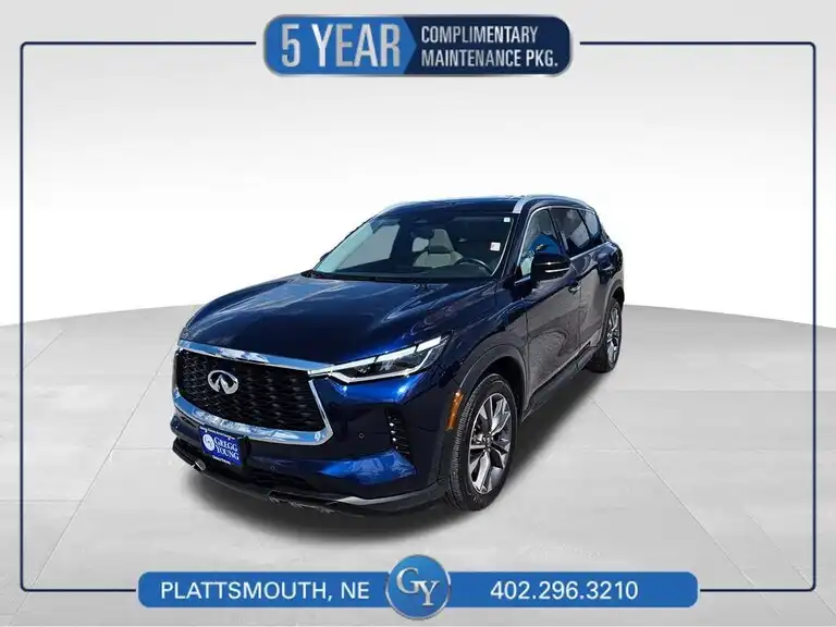 2024 INFINITI QX60 LUXE's photo
