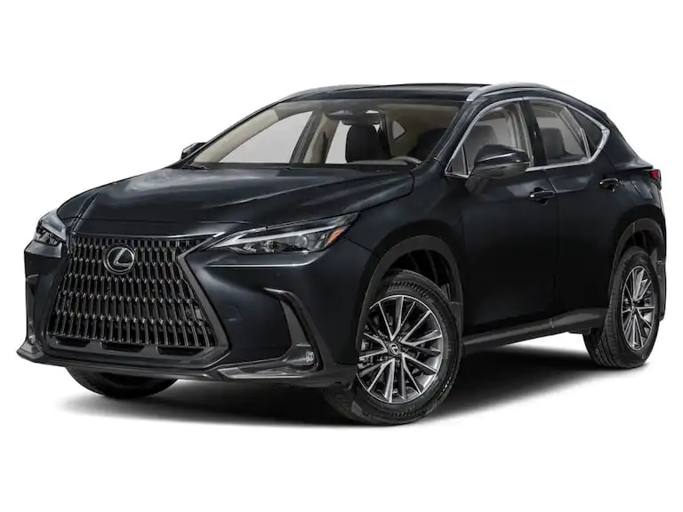 2024 Lexus NX 350 350 AWD's photo