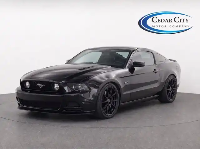 2014 Ford Mustang GT's photo
