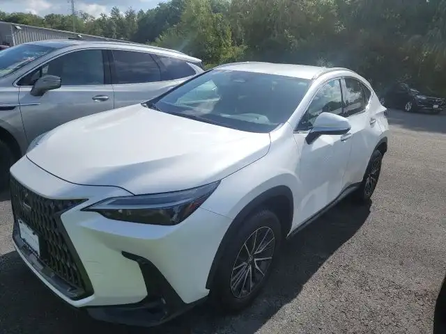 2024 Lexus NX 350 350 AWD's photo