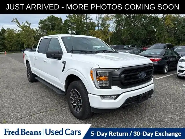 2023 Ford F-150 XLT 4WD SuperCrew 6-1/2' Box's photo