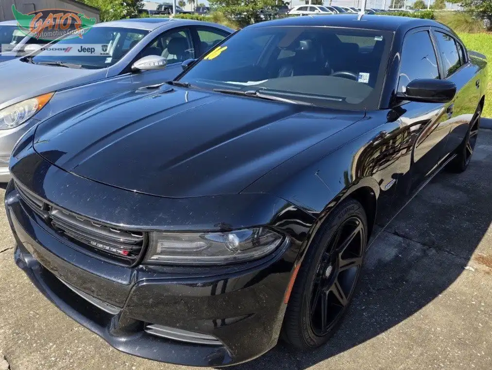 2016 Dodge Charger R/T's photo