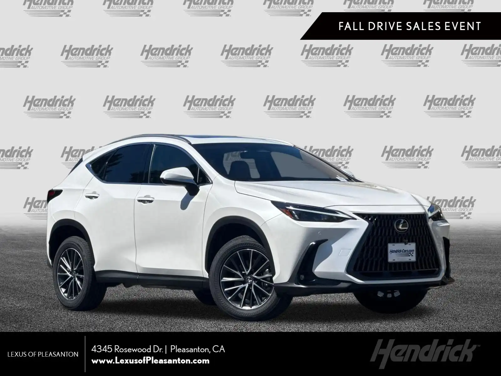 2024 Lexus NX 350h 350h Premium AWD's photo