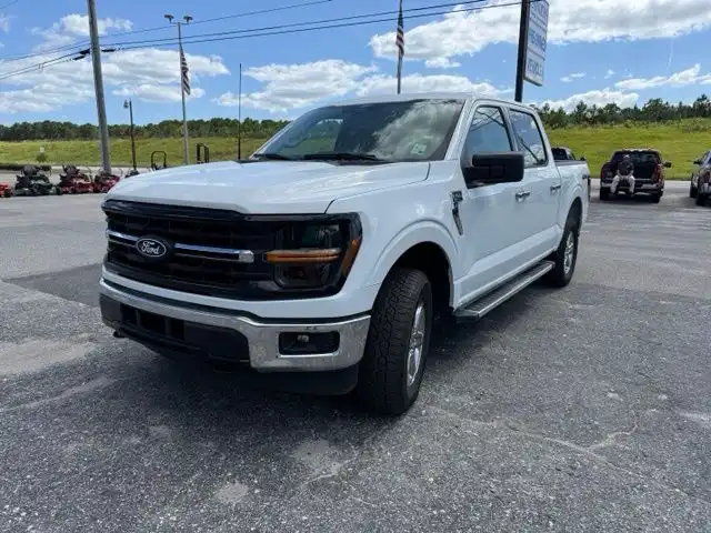 2025 Ford F-150 XLT 4WD SuperCrew 5-1/2' Box's photo