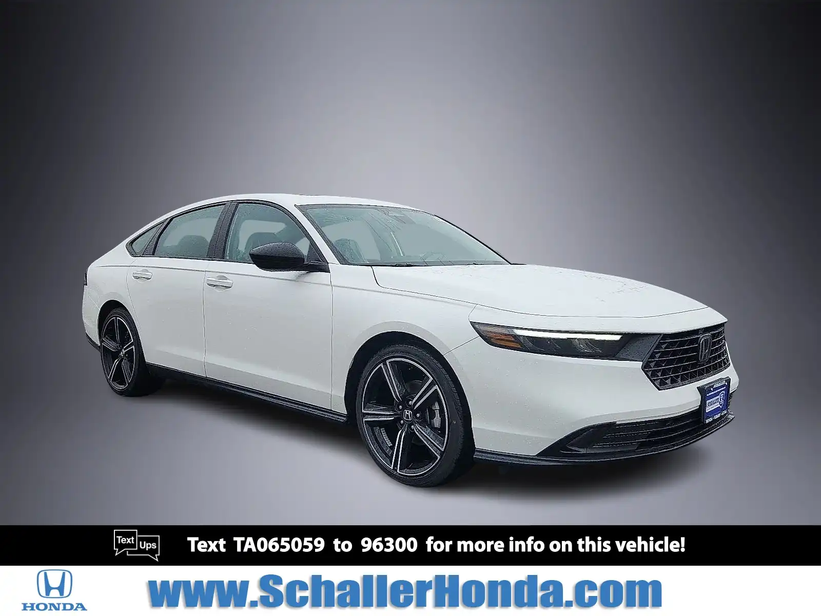 2026 Honda Accord 1.5T SE CVT's photo