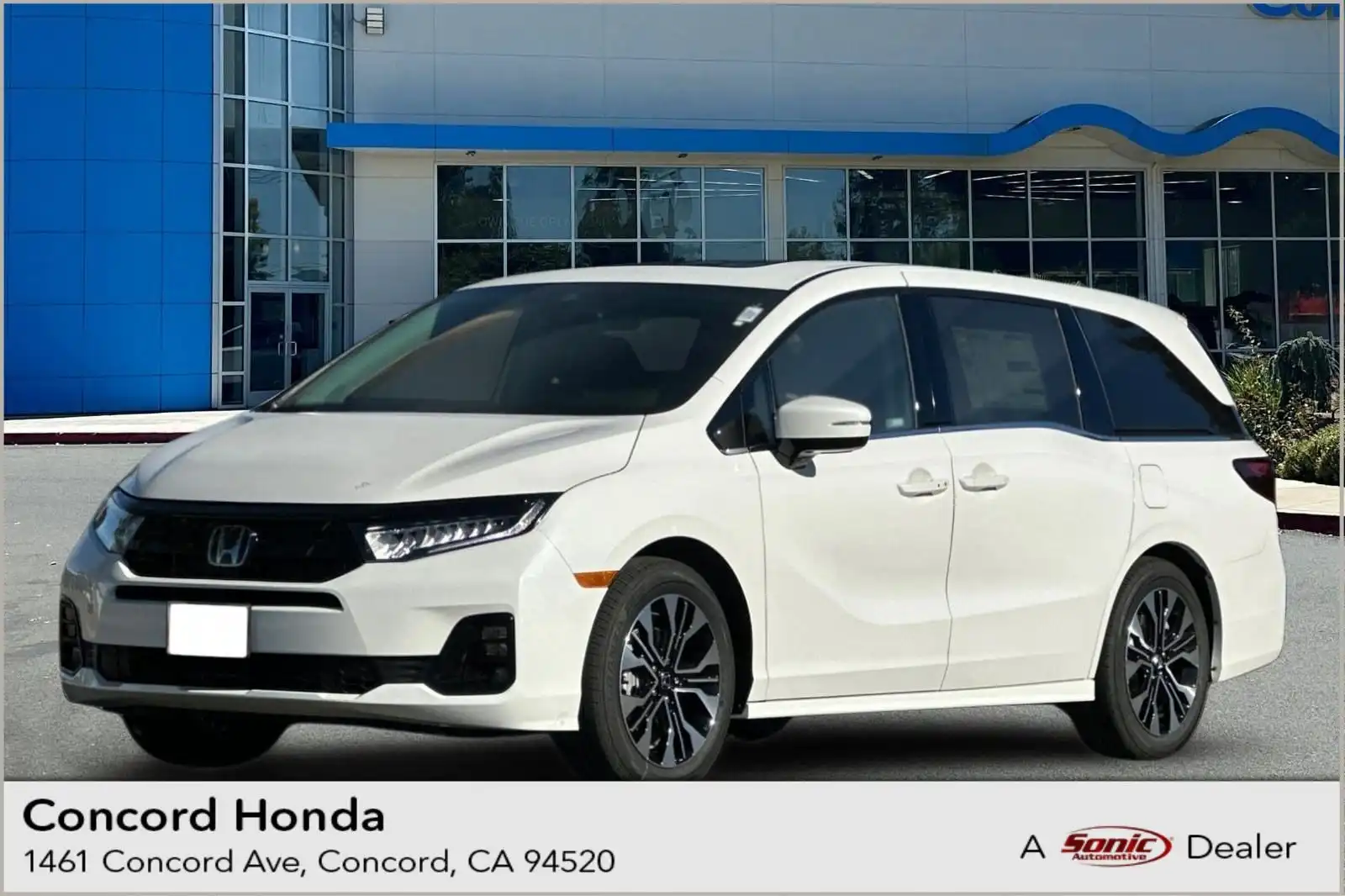2026 Honda Odyssey Elite's photo