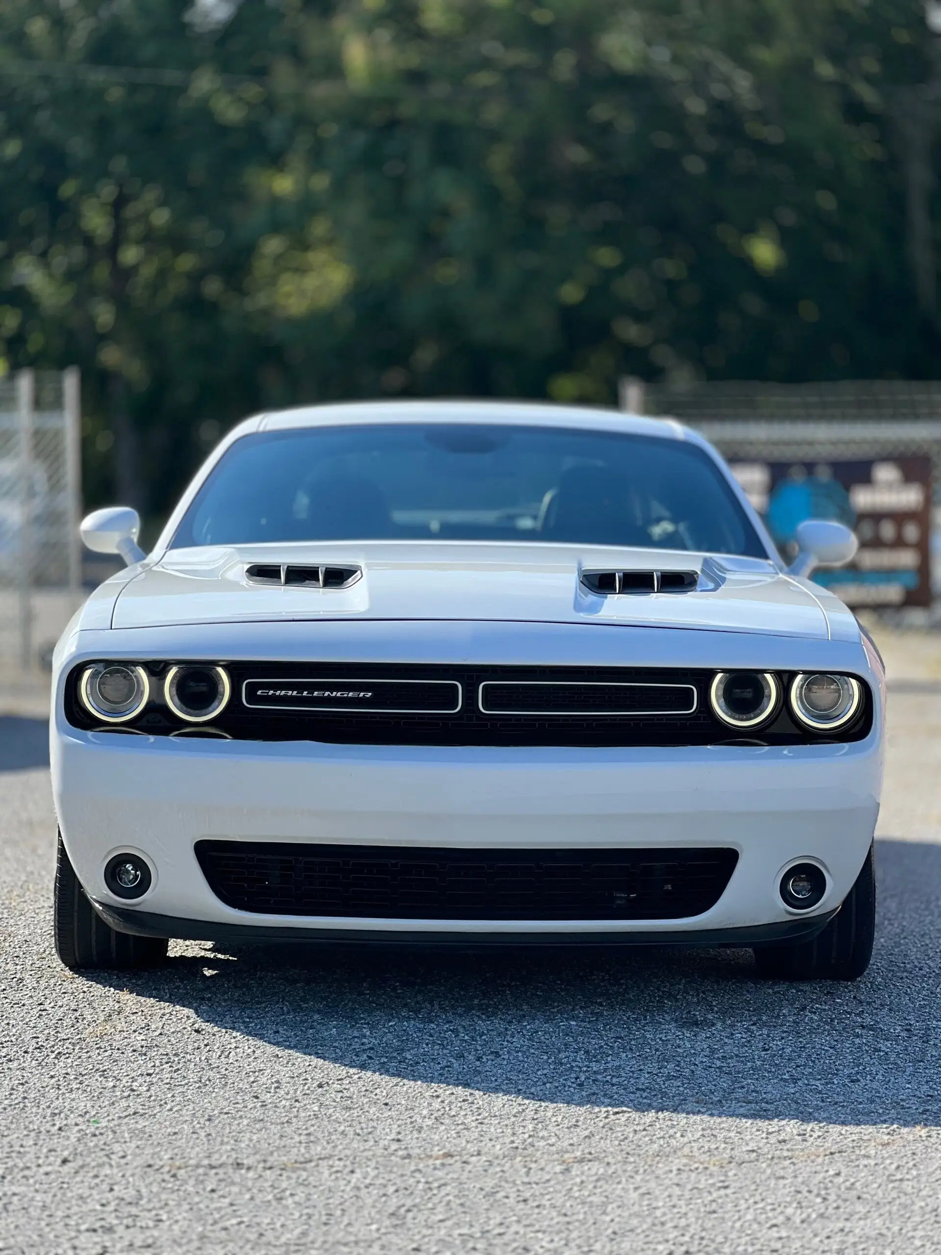 2018 Dodge Challenger SXT Plus photo 1