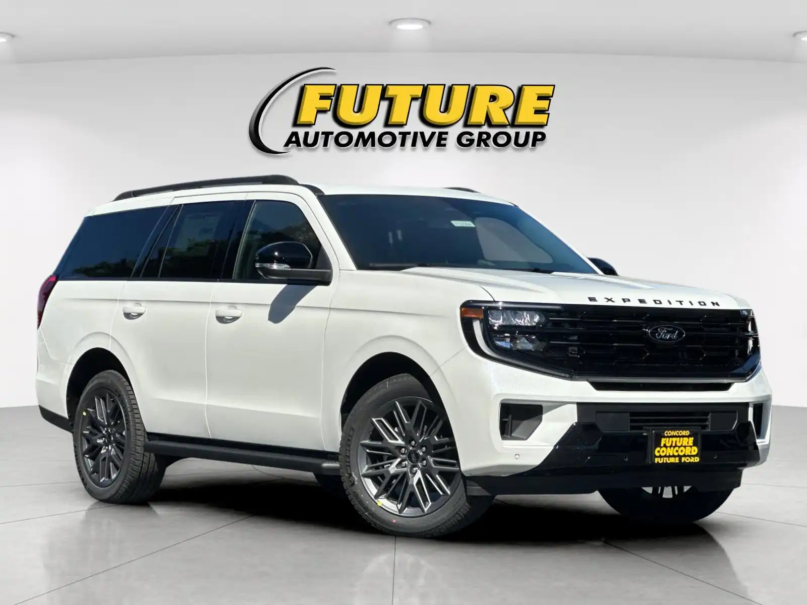 2026 Ford Expedition Platinum 4x4's photo