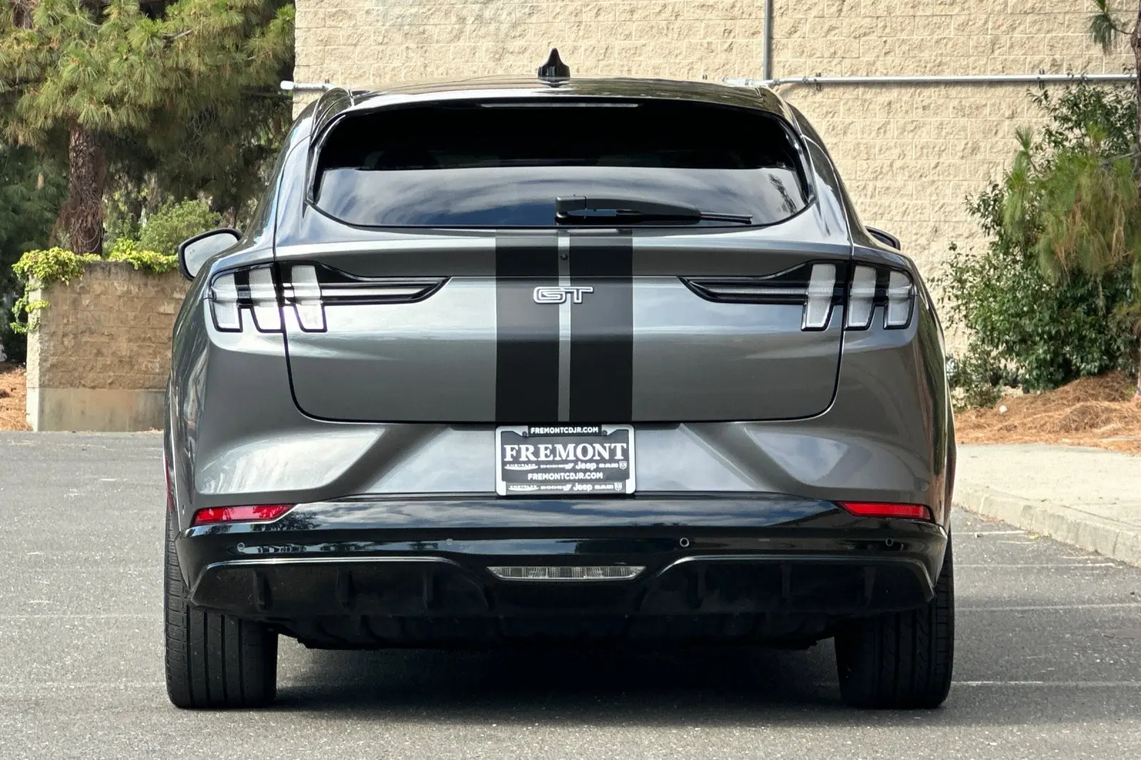 2023 Ford Mustang-Mach-e GT photo 4