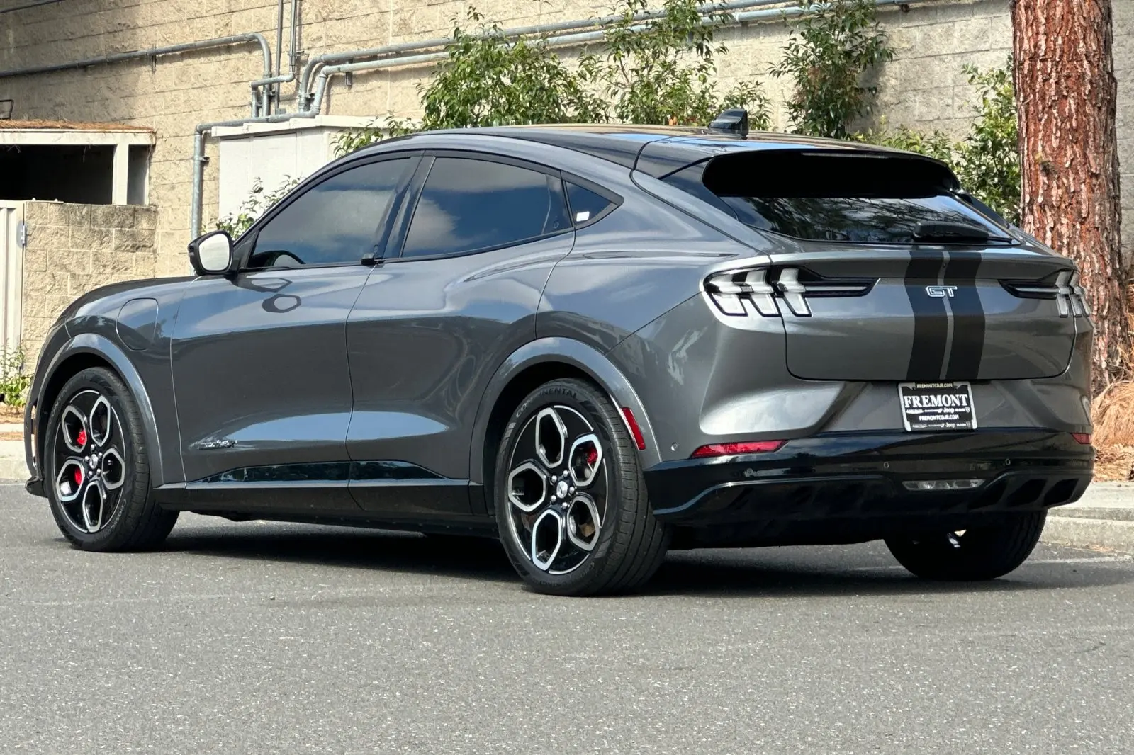 2023 Ford Mustang-Mach-e GT photo 5