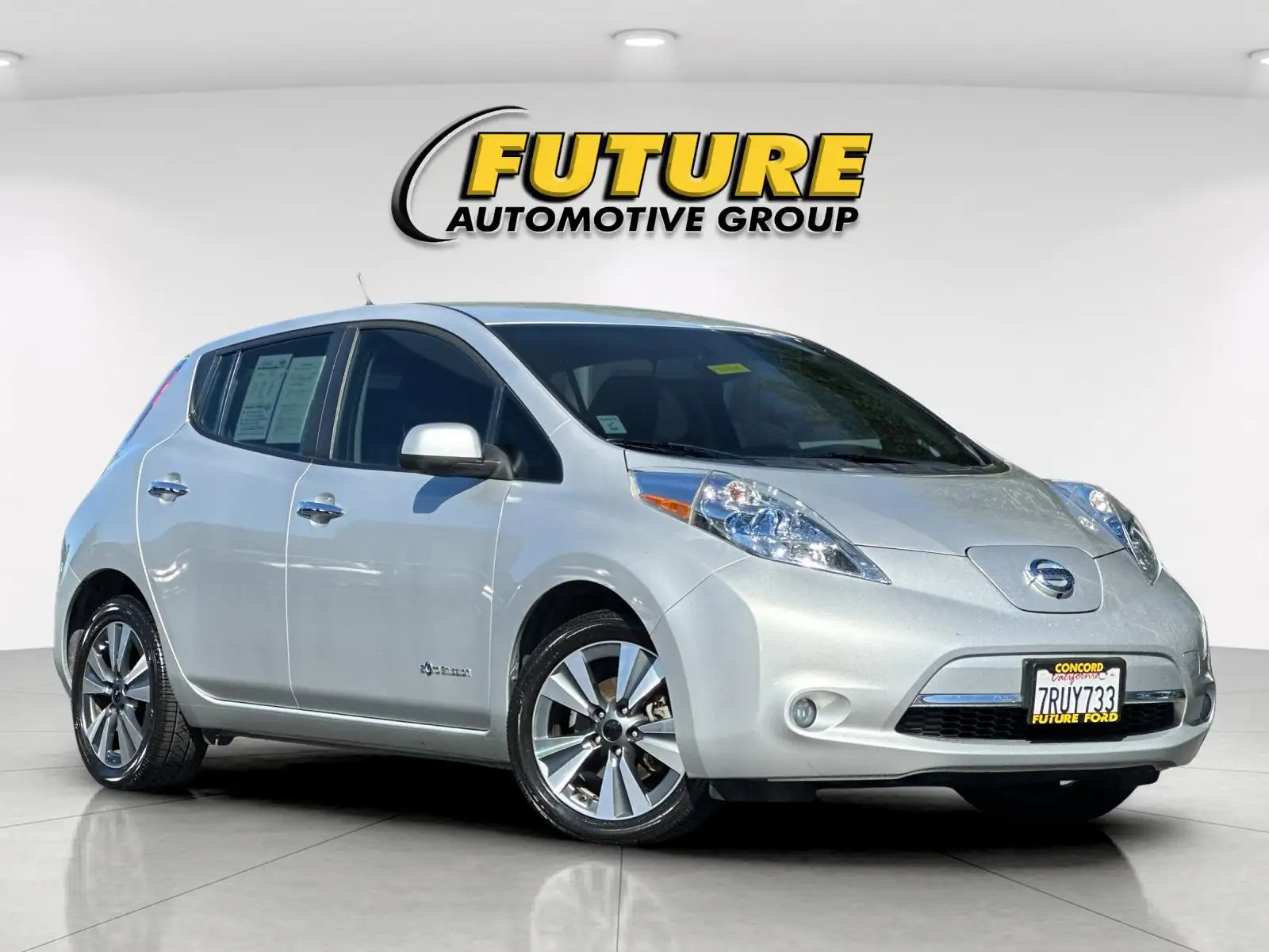 2013 Nissan Leaf SL's photo