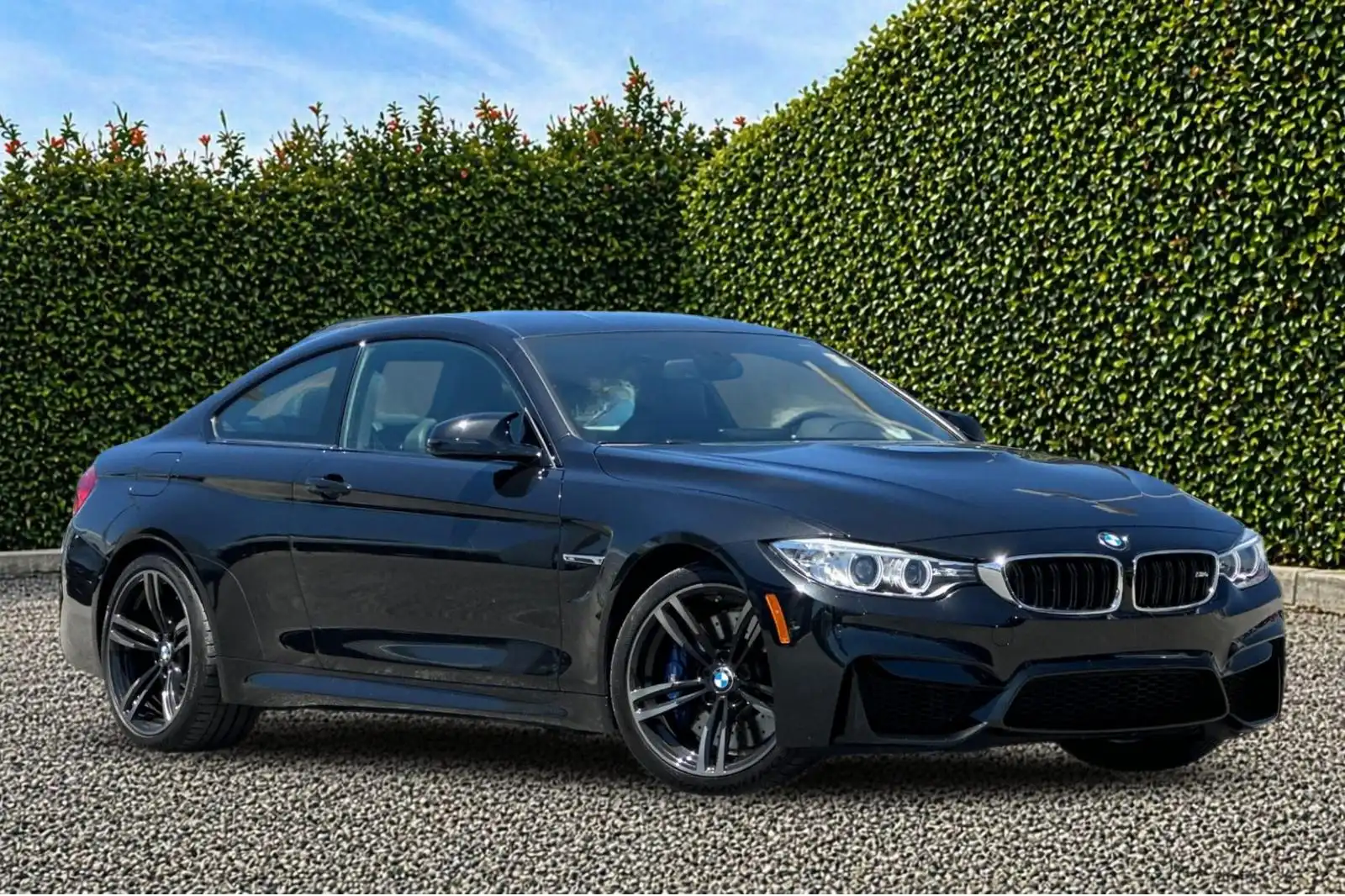 2015 BMW M4 Base's photo