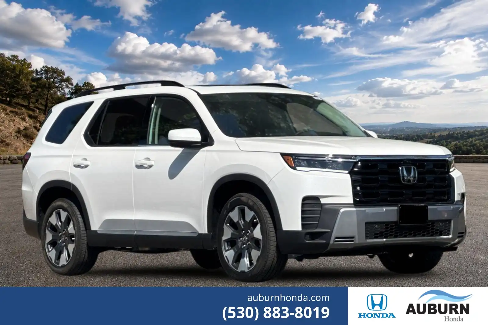 2026 Honda Pilot Elite AWD's photo