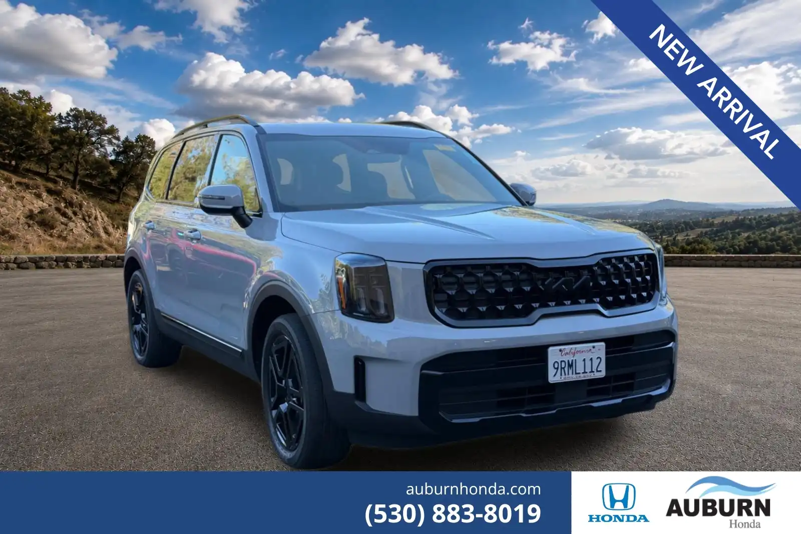 2025 Kia Telluride EX X-Line AWD's photo