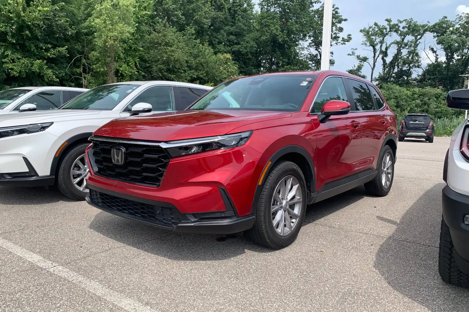 2025 Honda CR-V EX-L AWD's photo