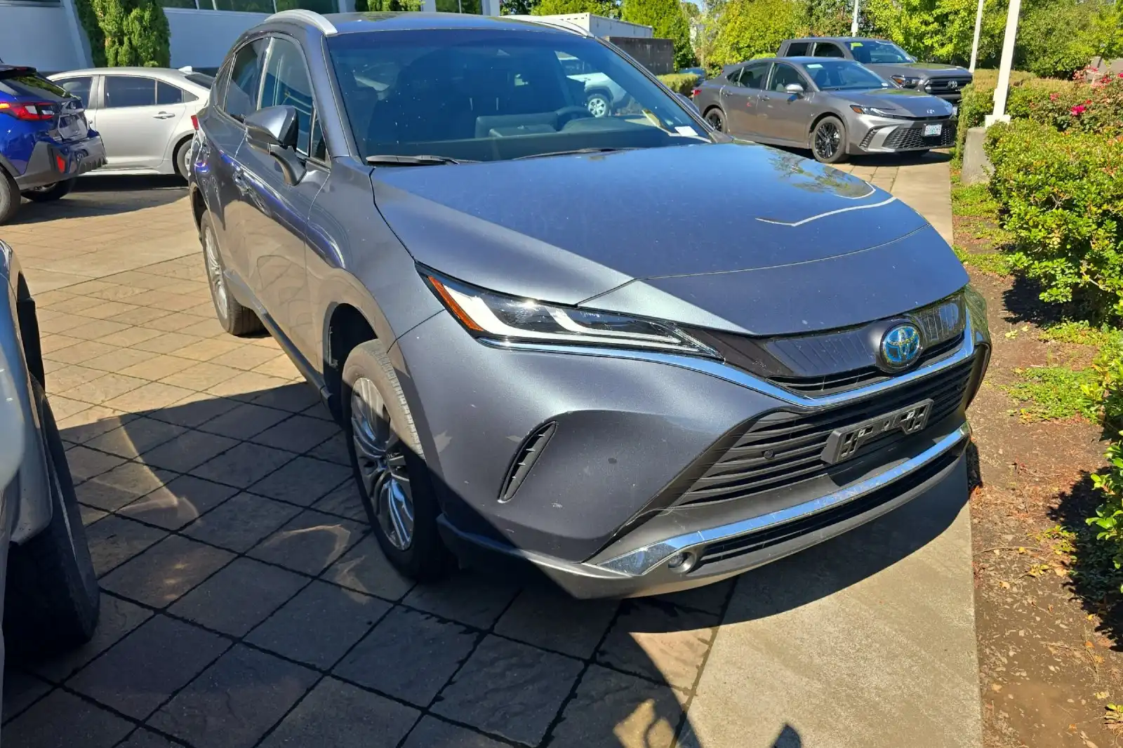 2024 Toyota Venza XLE Hybrid AWD's photo