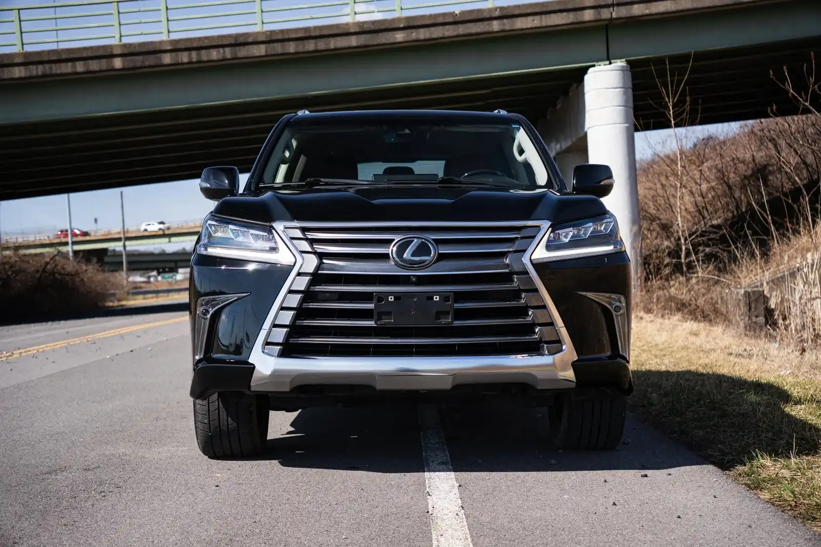2018 Lexus LX 600 570 TWO-ROW's photo