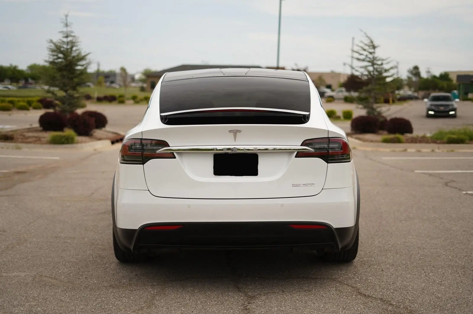 2019 Tesla Model X Performance photo 5