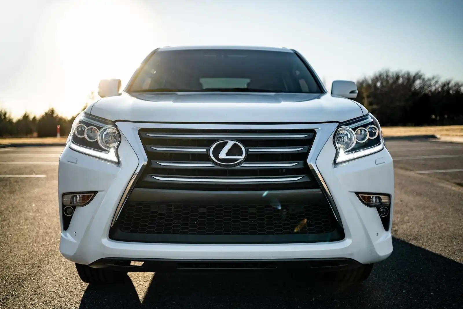 2016 Lexus GX 460 460 Luxury's photo