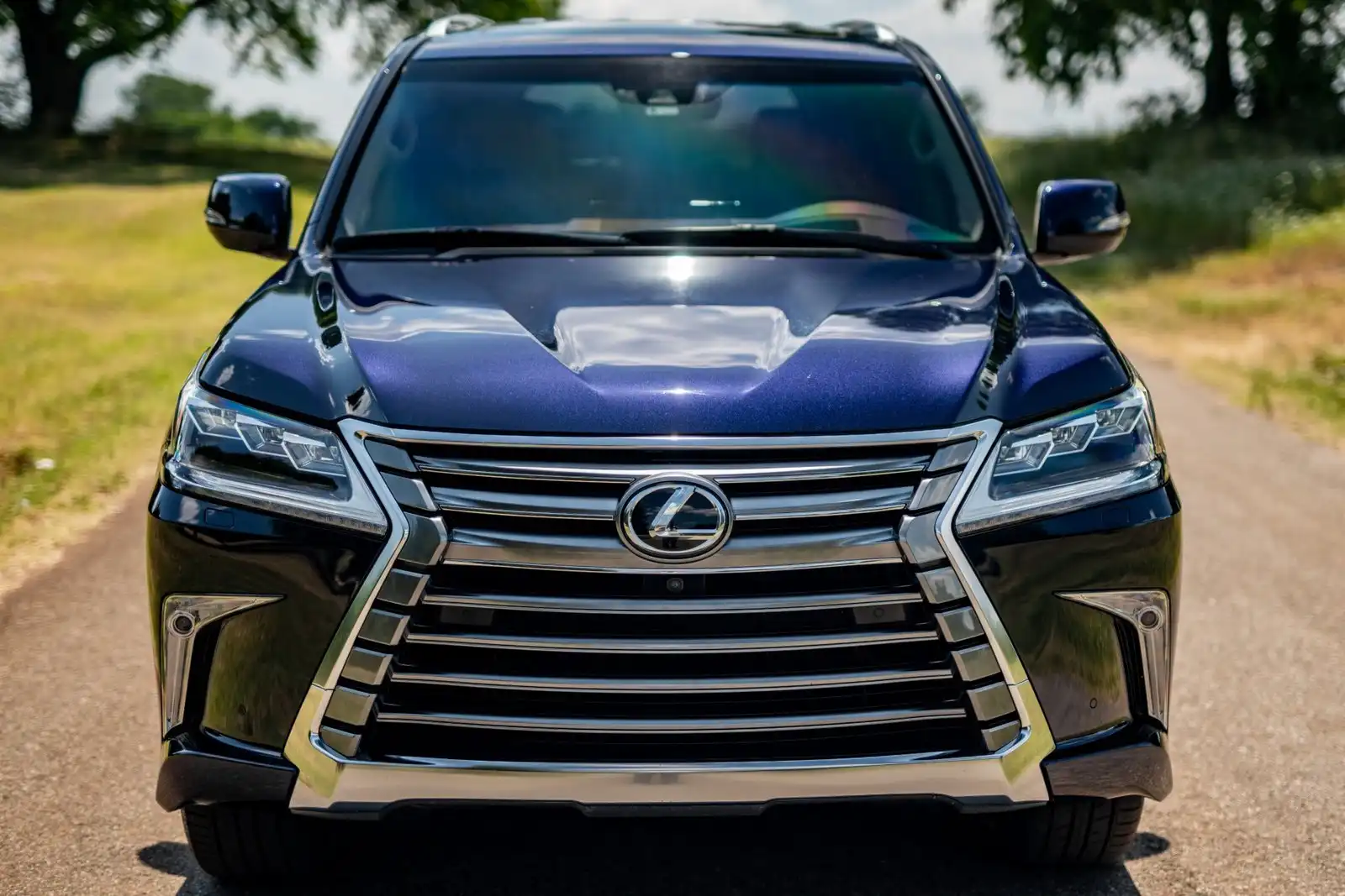 2017 Lexus LX 600 570's photo
