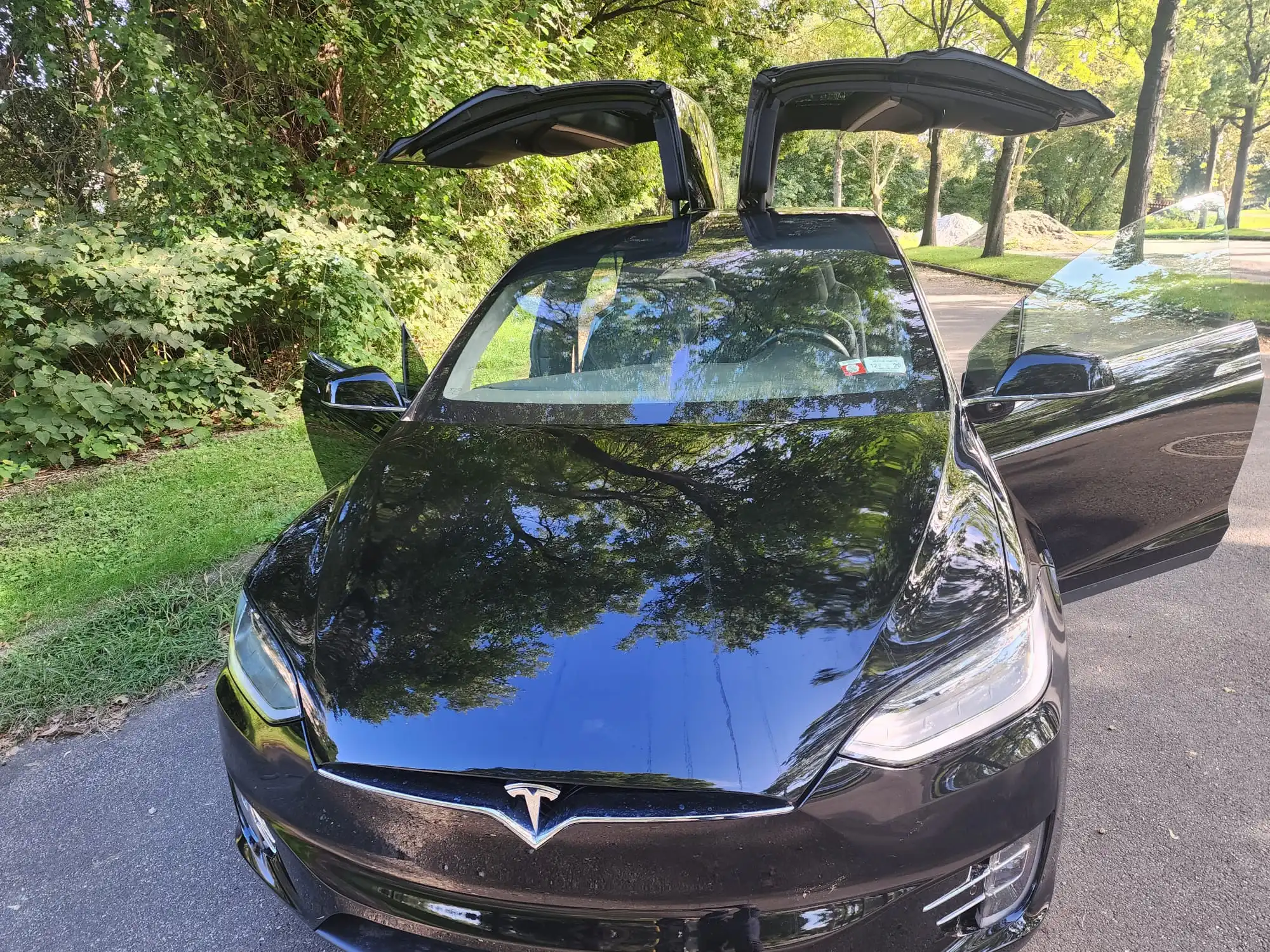 2018 Tesla Model X P100D's photo