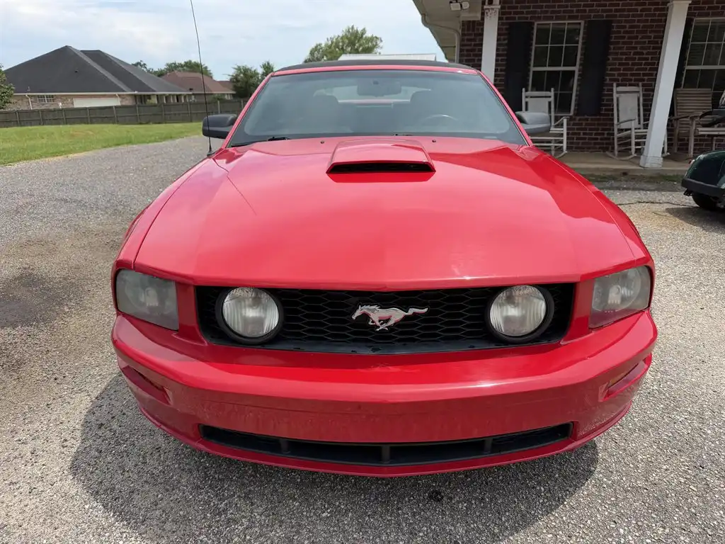 2009 Ford Mustang's photo