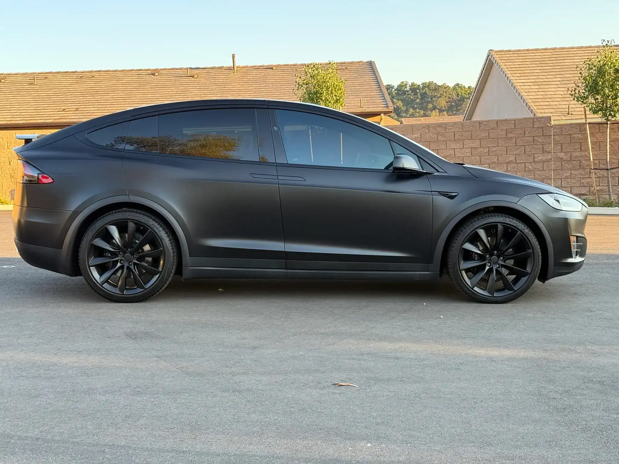 2019 Tesla Model X Performance's photo