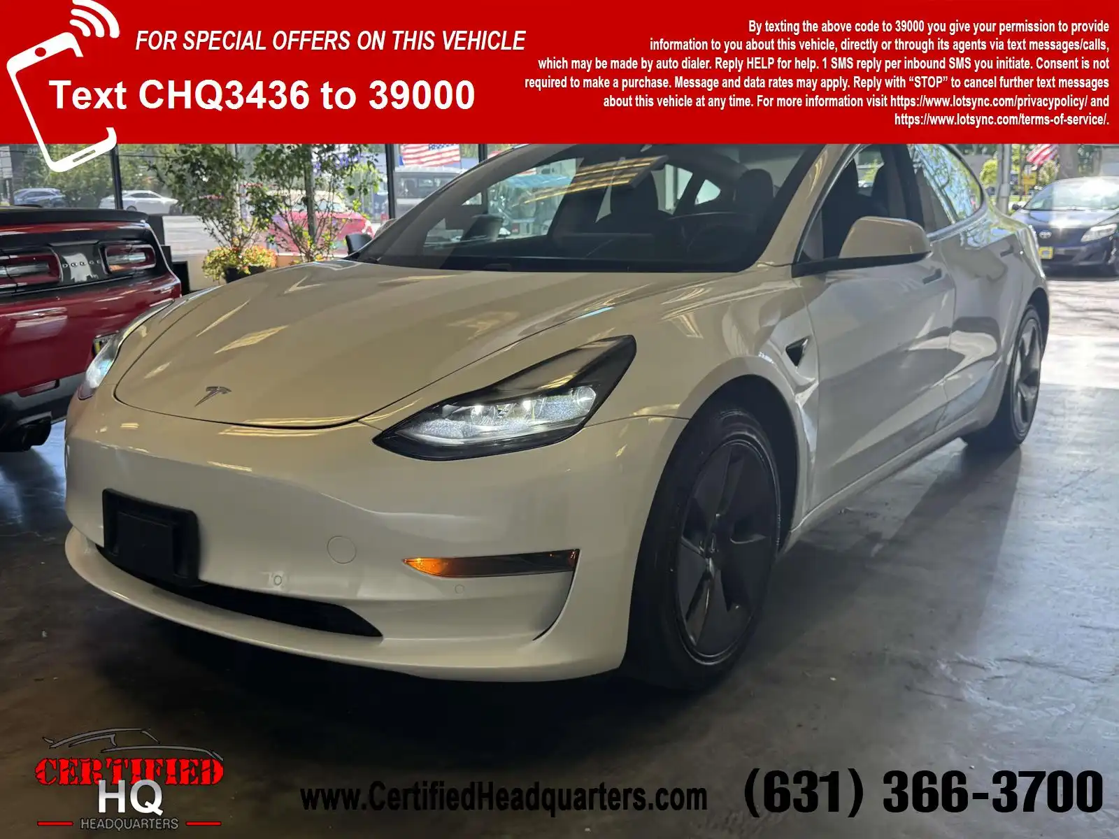 2021 Tesla Model 3 Standard Range Plus's photo