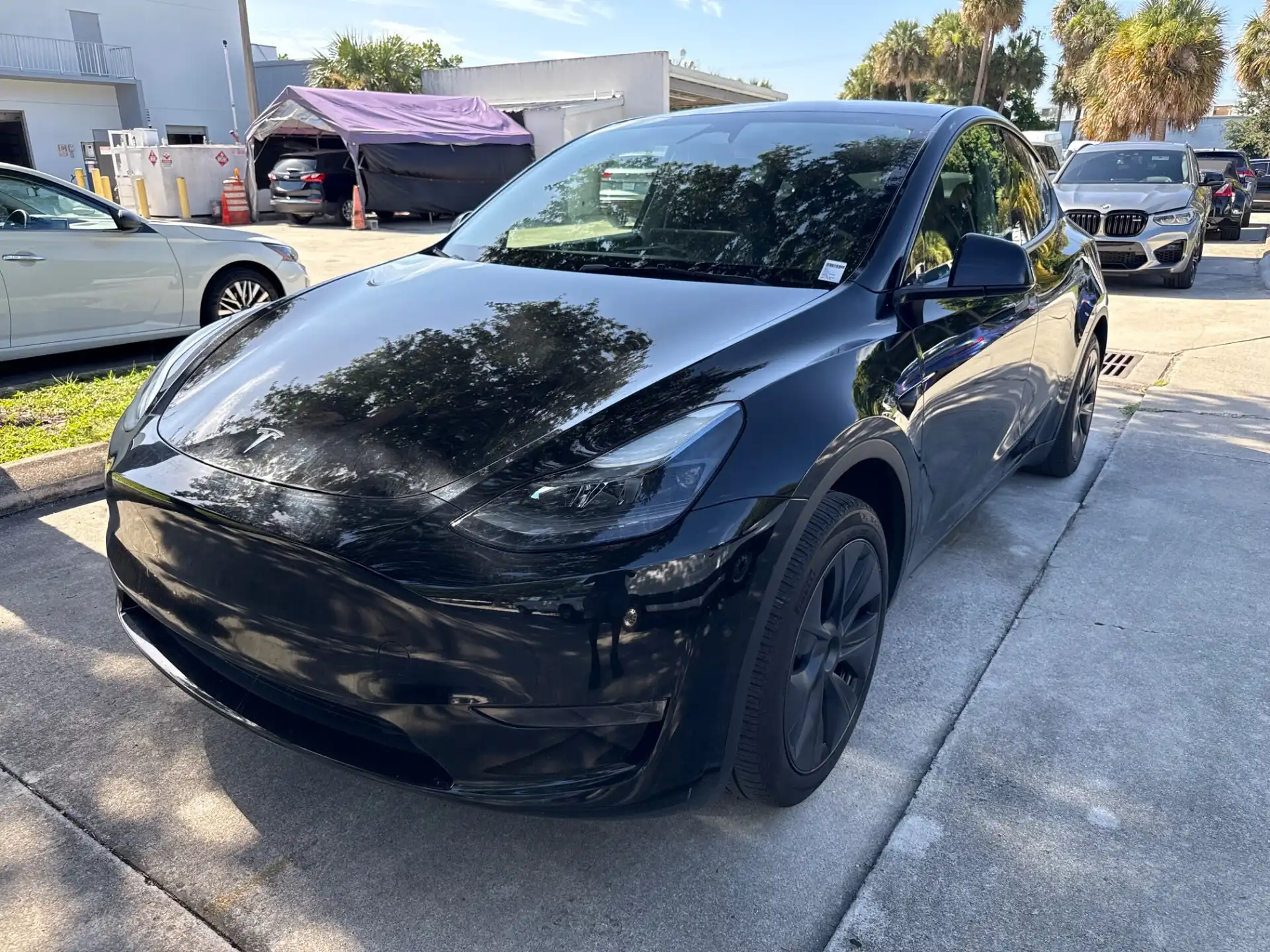 2024 Tesla Model Y Long Range Rear Wheel Drive's photo