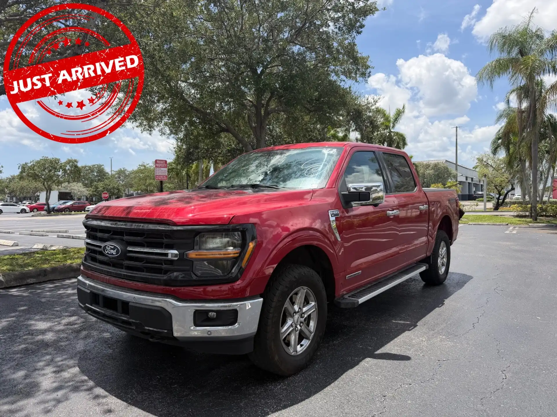 2024 Ford F-150 XLT 4x4 SuperCrew 5-1/2 Box's photo