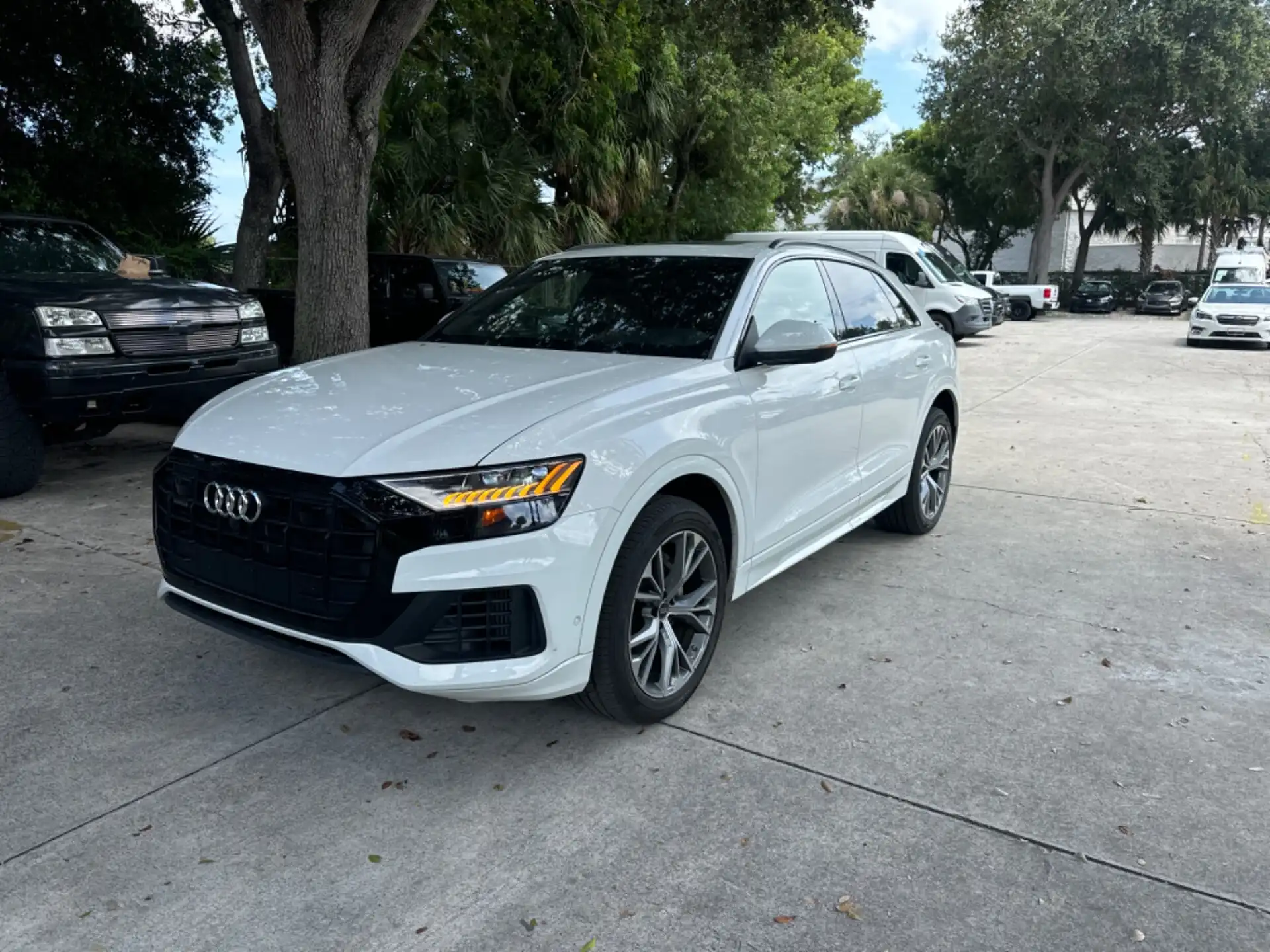 2023 Audi Q8 55 Premium Tiptronic quattro's photo