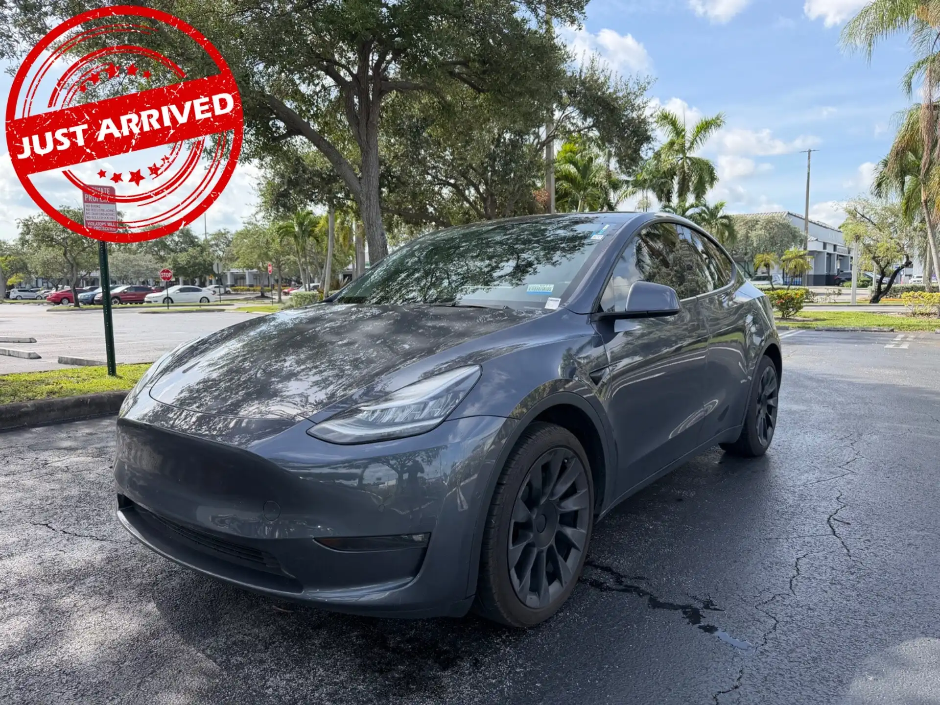 2022 Tesla Model Y Long Range Dual Motor All-Wheel Drive's photo