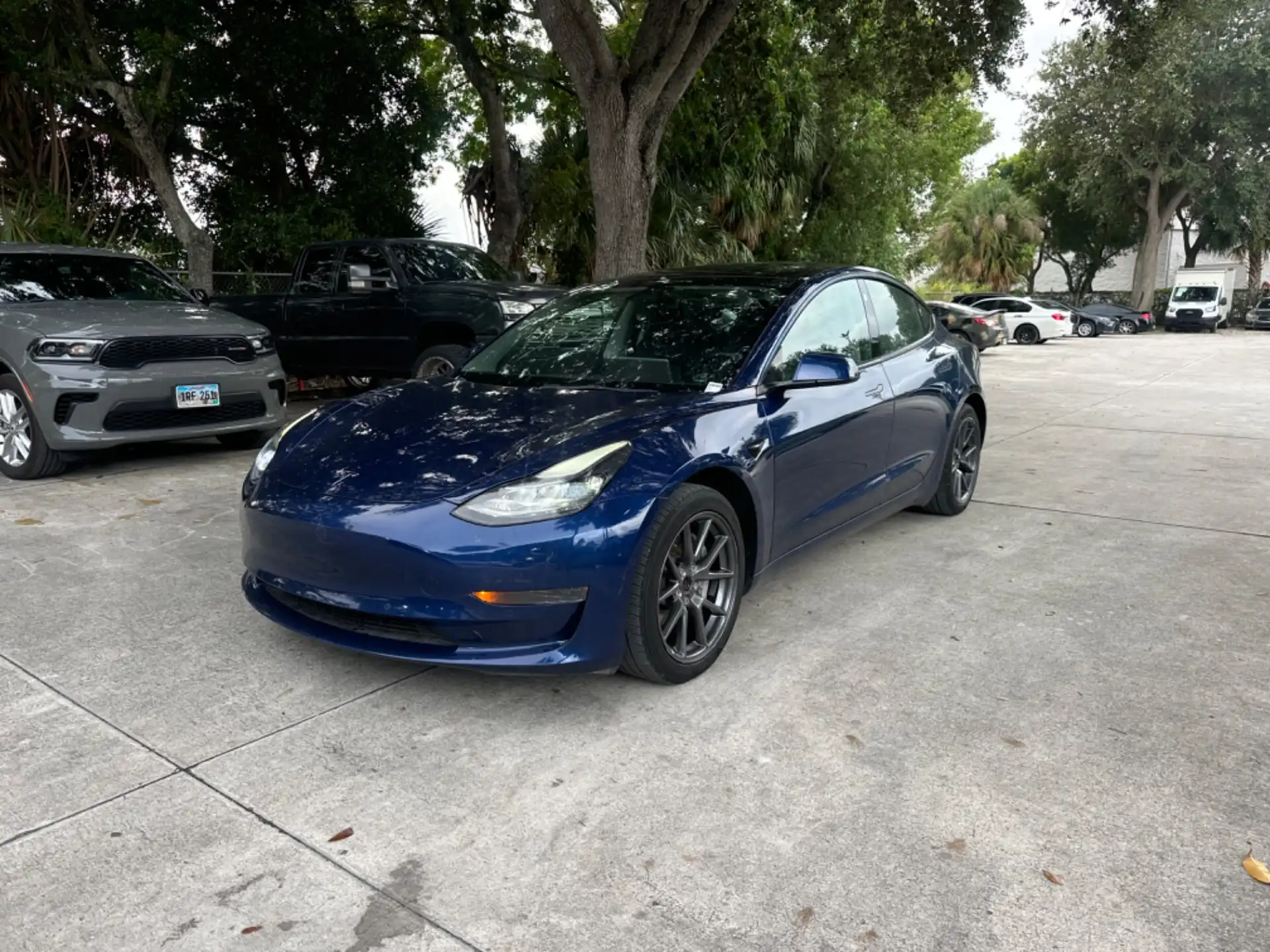2022 Tesla Model 3 Standard Range Plus's photo