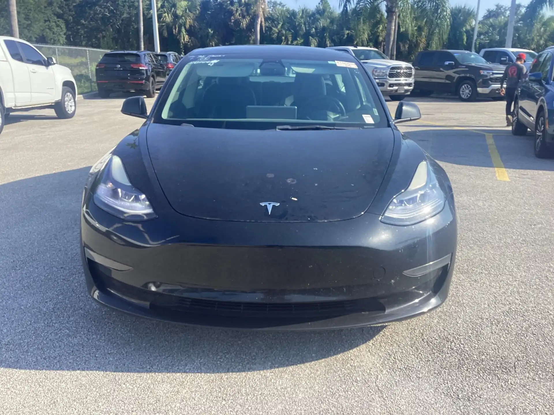 2023 Tesla Model 3 Base's photo